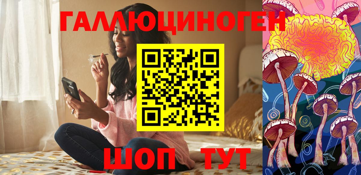 Нижний Новгород  закладки  Вход с VPN  Псилоцибиновые грибы Psilocybe 